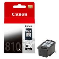 Genuine Original Canon Ink Cartridge - PG-810